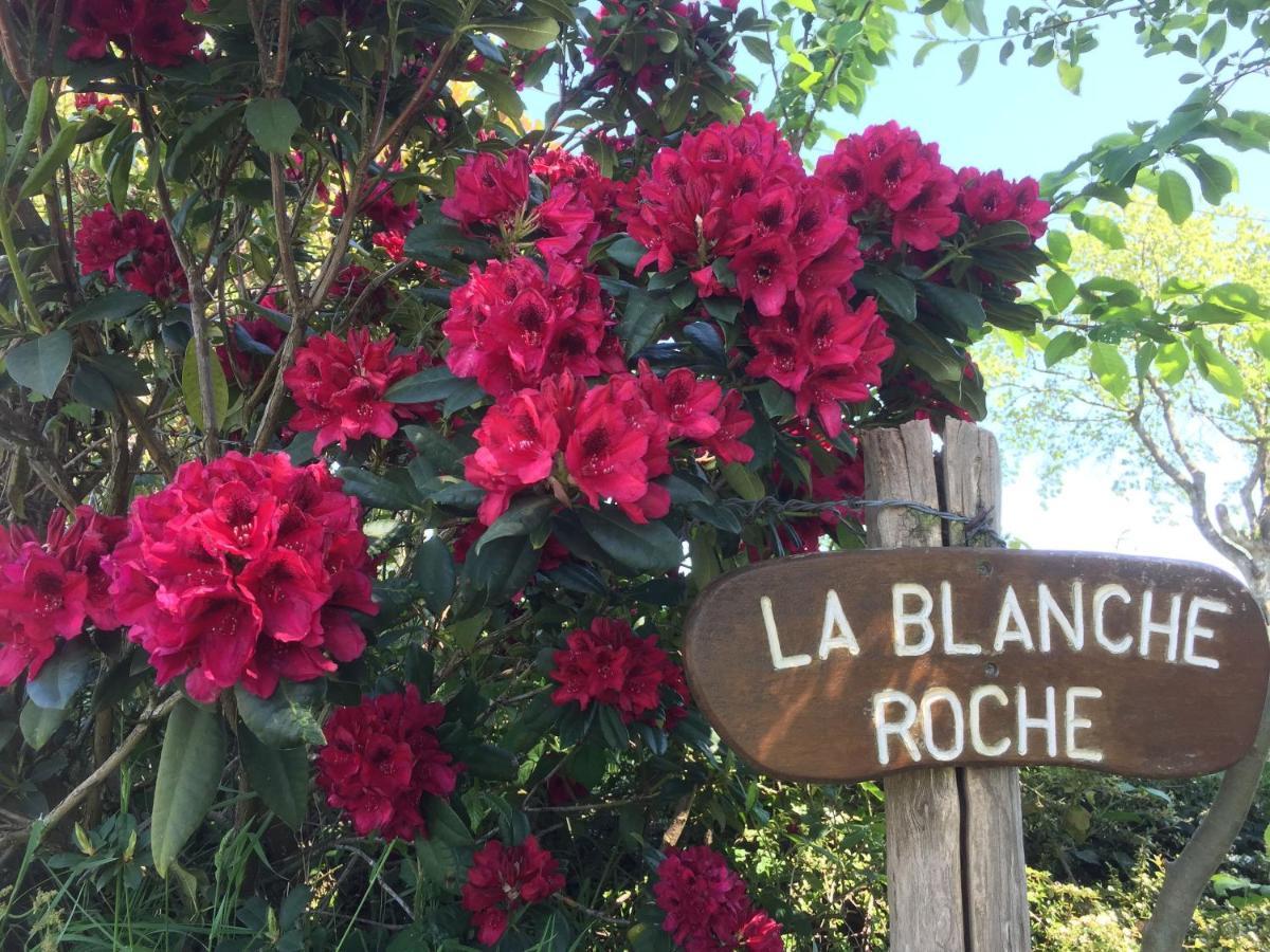 Bed and Breakfast La Blanche Roche à Sourdeval Extérieur photo